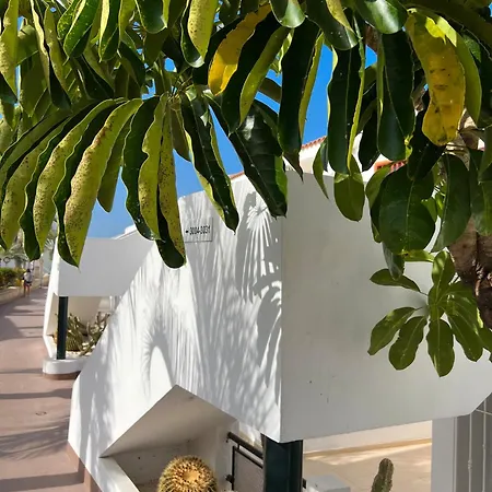 Malibu Ocean Sunset Апартаменты Адехе